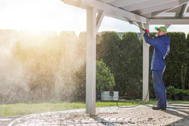 Best Animal Enclosure Cleaning  in Redington Beach, FL